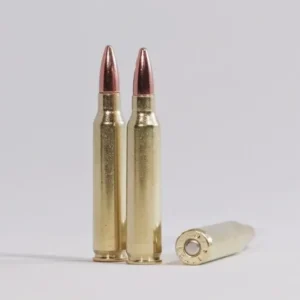 .223 Remington 55 grain hollow point