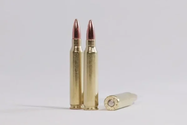 .223 Remington (5.56 NATO) 55 grain FMJ