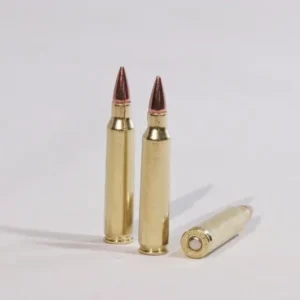 .223 Remington 75 grain hollow point match. (new)
