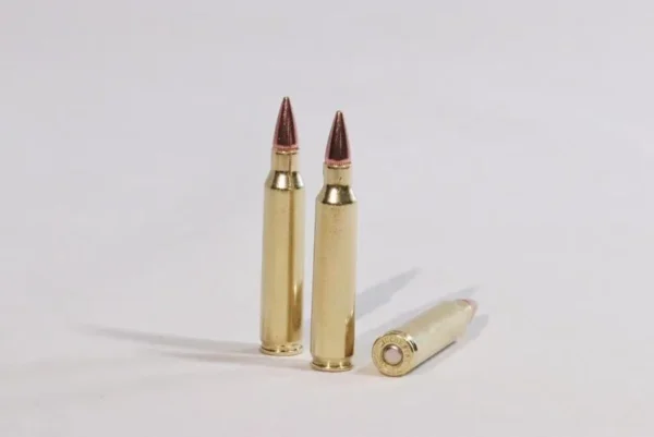 .223 Remington 75 grain hollow point match. (new)