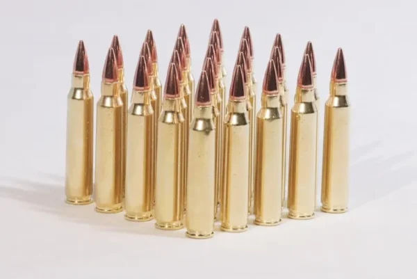 .223 Remington 75 grain hollow point match. (new) - Image 3