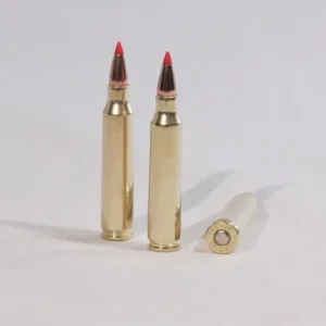 .223 Remington 55 grain v-max (vmax)