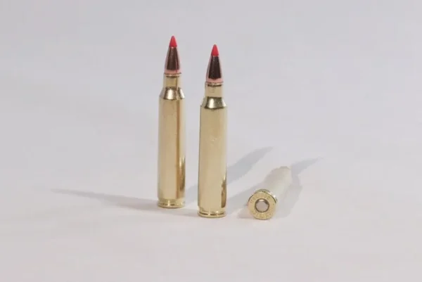 .223 Remington 55 grain v-max (vmax)
