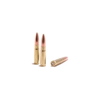 .300 Black Out 220 grain Subsonic