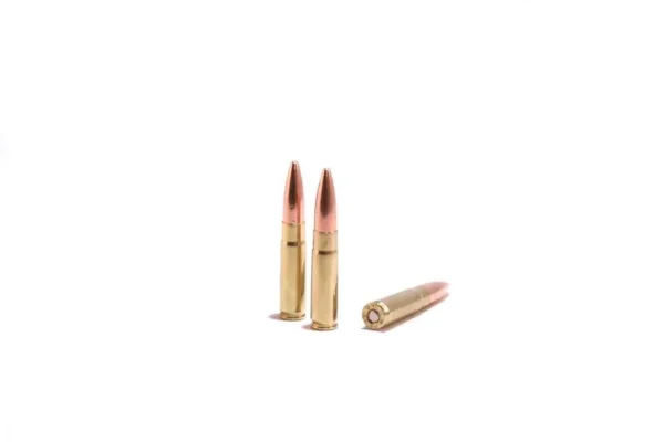 .300 Black Out 220 grain Subsonic