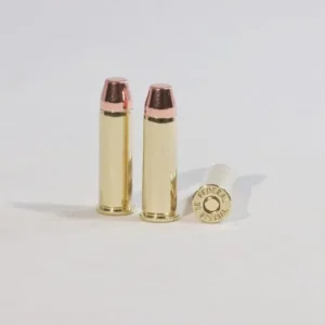 .38 Special 158 gr Flat Nose