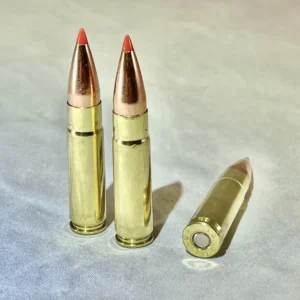.300 Black Out 110 grain V-Max supersonic