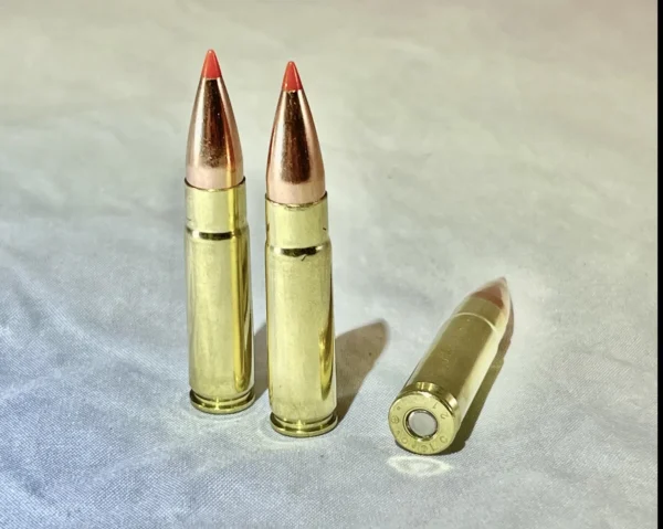 .300 Black Out 110 grain V-Max supersonic