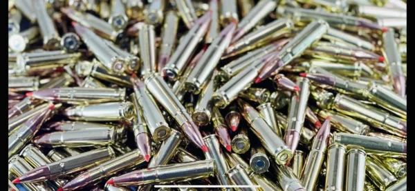 .300 Black Out 110 grain V-Max supersonic - Image 5